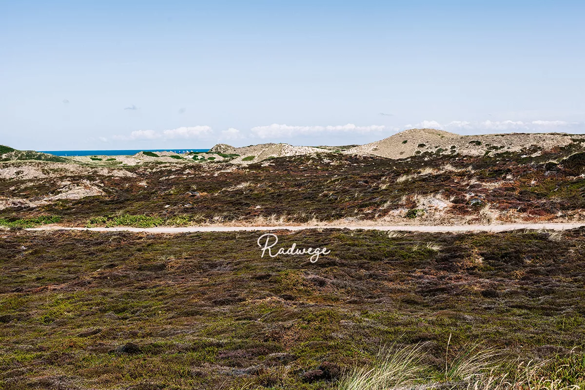 Der Radweg zwischen Kampen und List auf Sylt