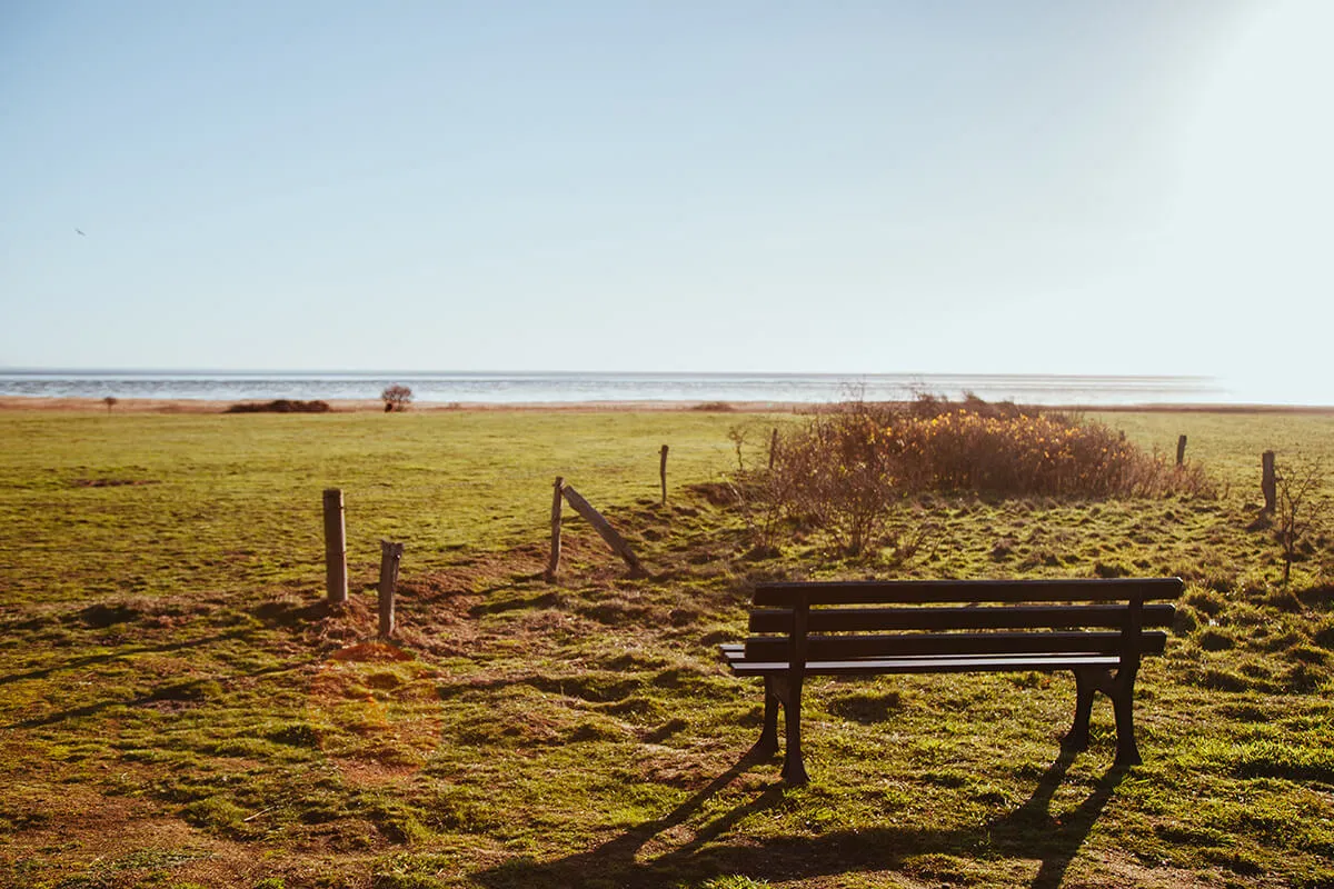 Bank mit Blick aufs Watt in Morsum