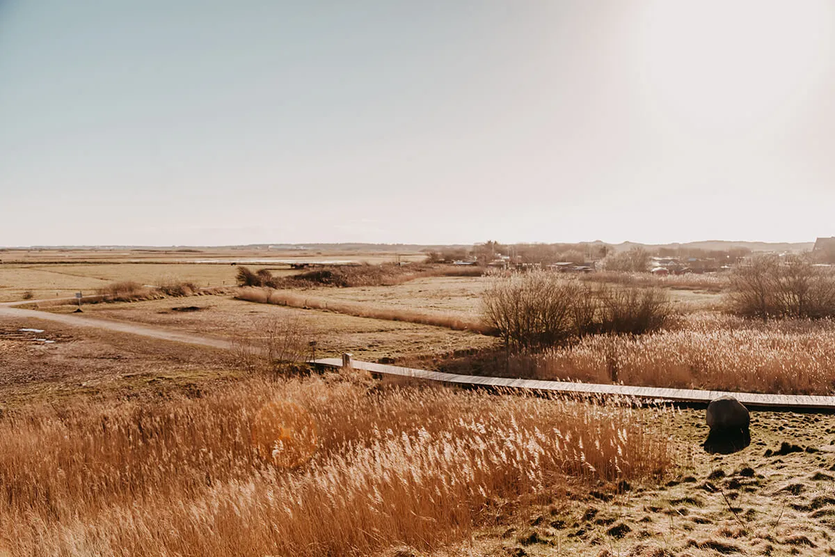 Tinnum-Burg Lanschaft