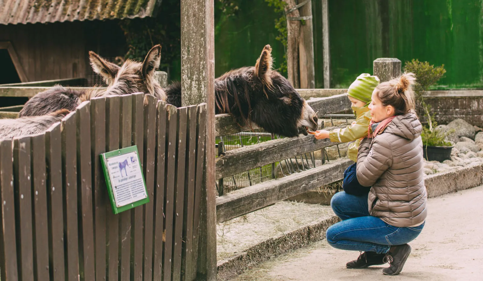Sylt mit Kindern: Tierpark Tinnum