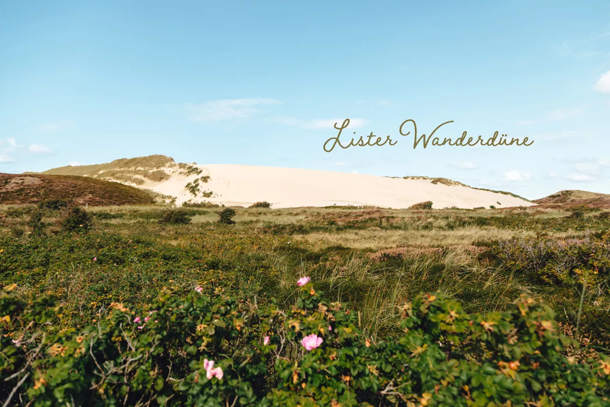 Wanderdüne auf Sylt