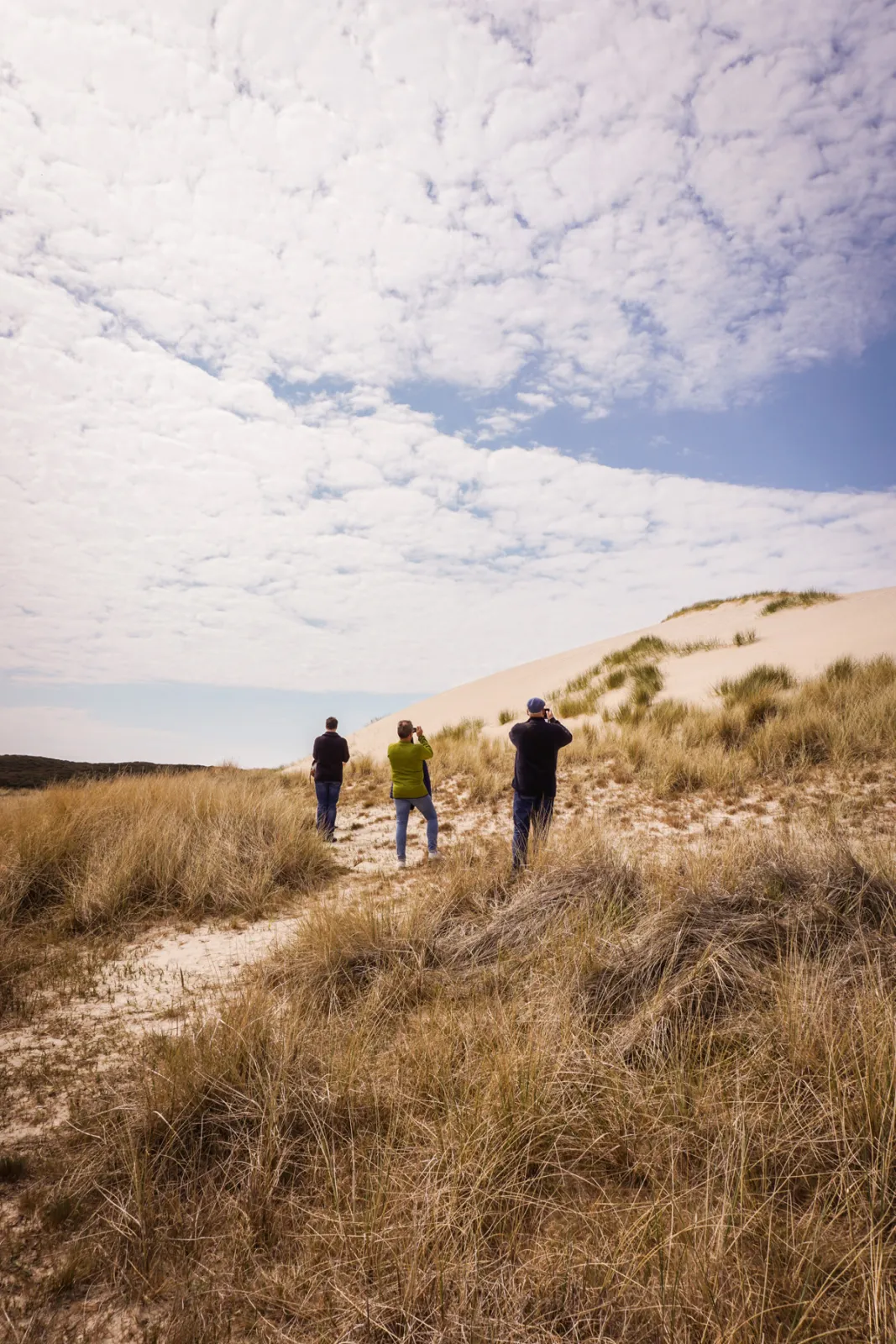 Führung zum Fuße der Wanderdüne List