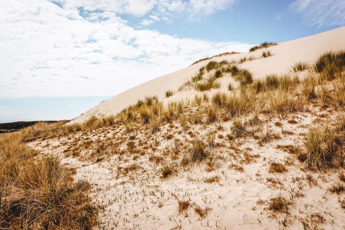 Führung zum Fuße der Wanderdüne in List