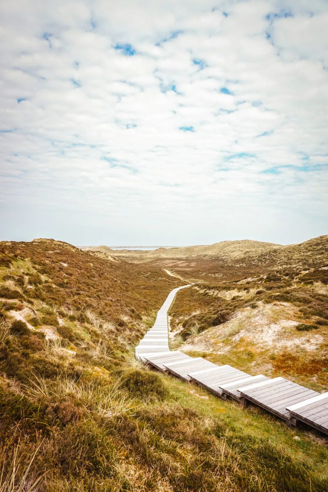 Führung zur Wanderdüne auf Sylt