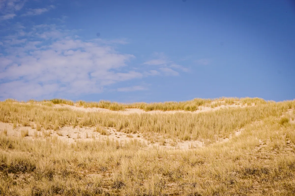 Führung zum Fuße der Wanderdüne List