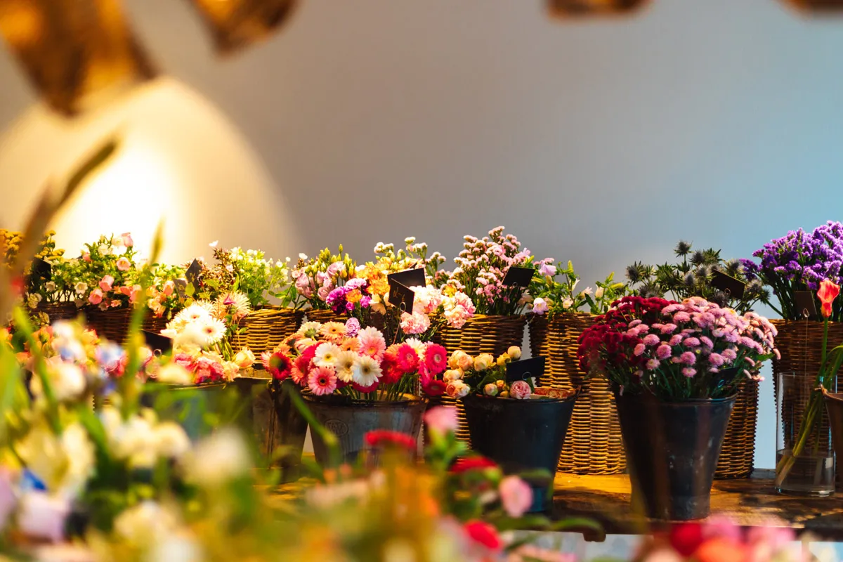 Gartencenter Harms in Keitum auf Sylt