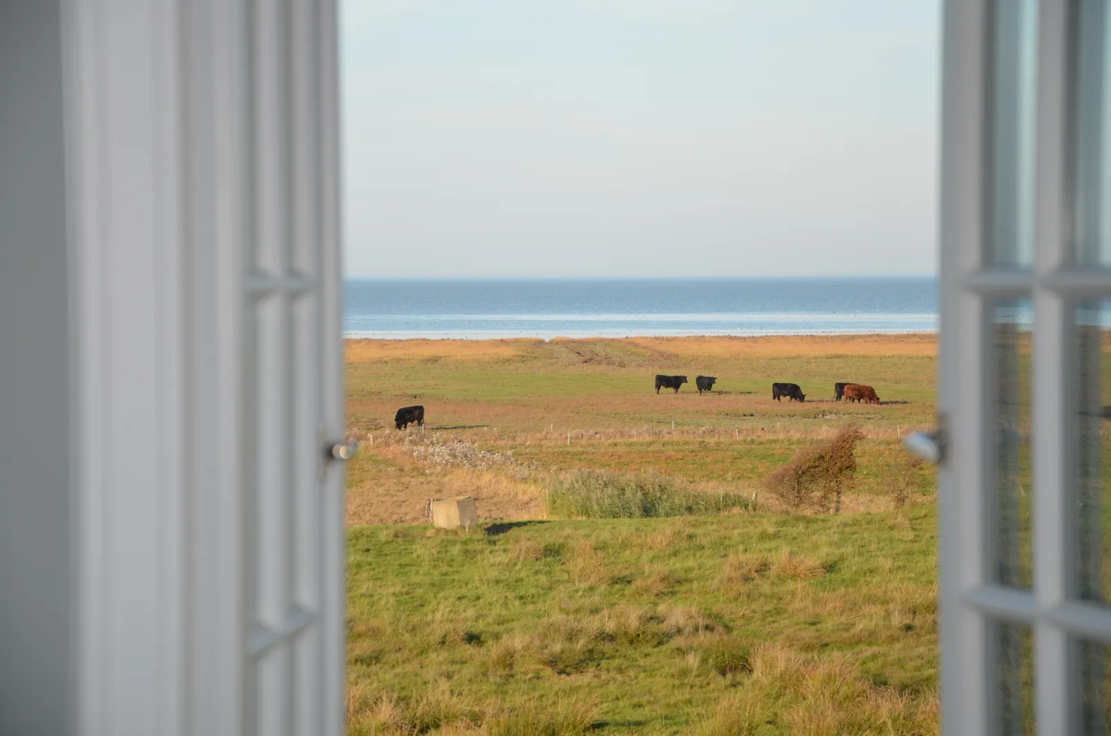 Aussicht auf Watt Morsum