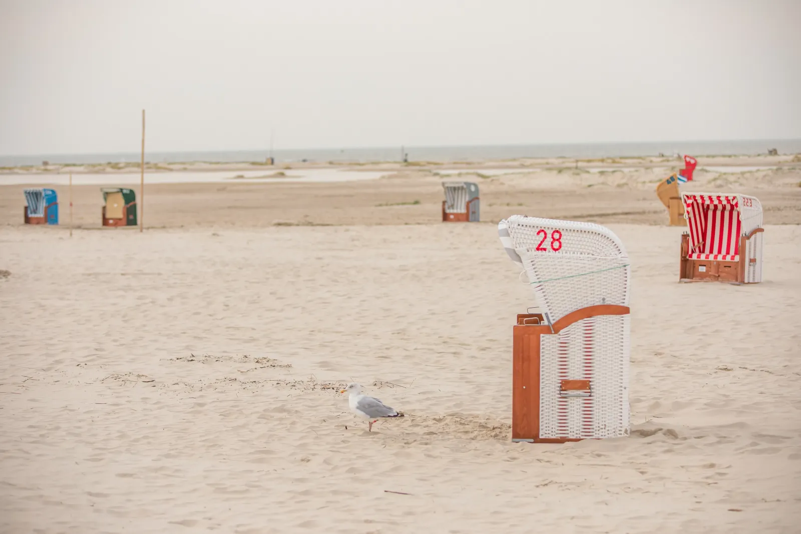 Amrum Strand