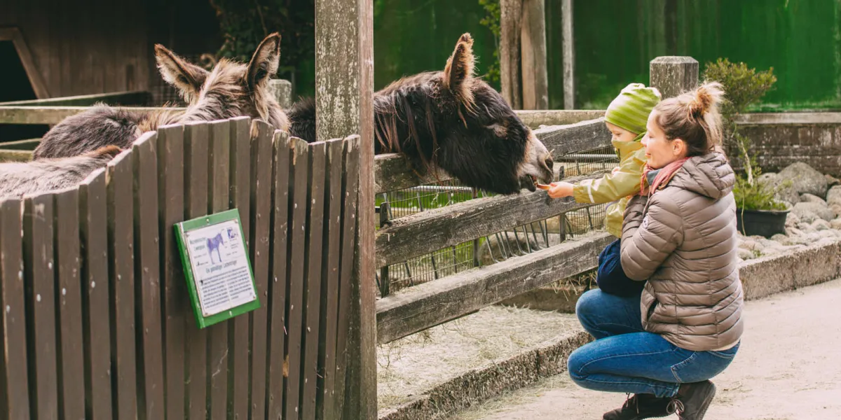 Sylt mit Kindern: Tierpark Tinnum