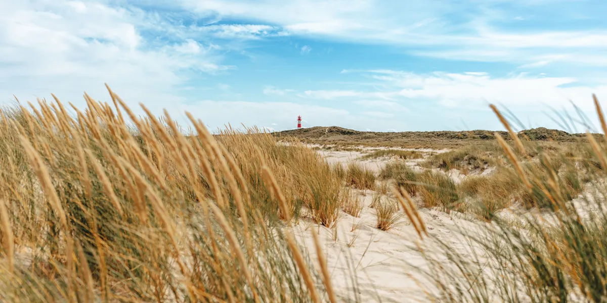 5 Lieblingsplätze & Aussichtspunkte in List auf Sylt: Der Strand am Ellenbogen mit dem rot-weißen Leuchtturm