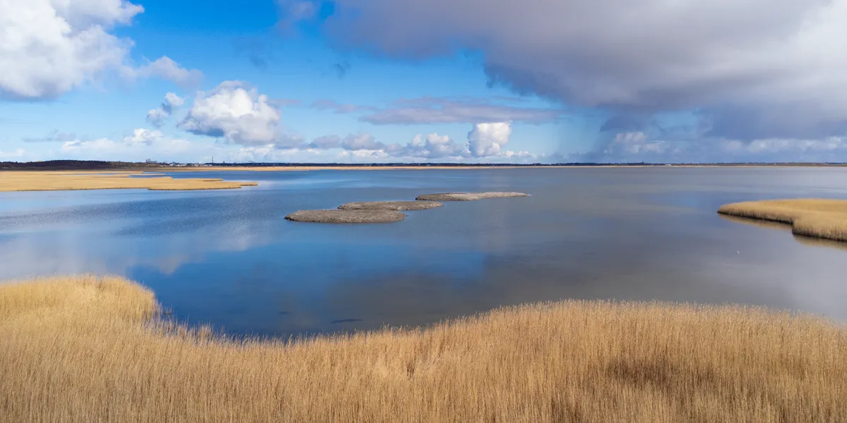 Vogelinseln_Rantumbecken_Sylt_d.png