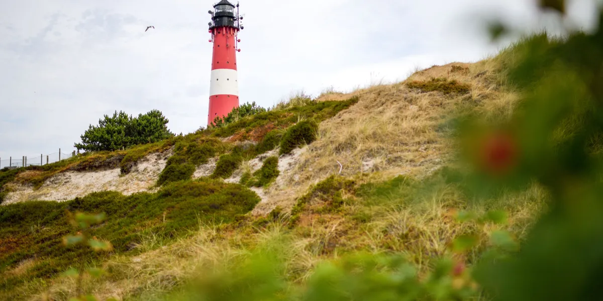 Hörnum auf Sylt: Der malerische Inselsüden