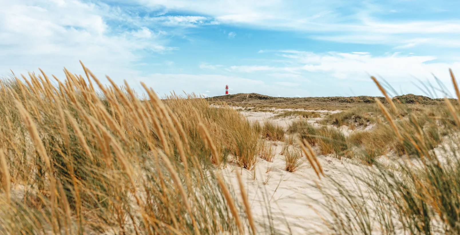 5 Lieblingsplätze & Aussichtspunkte in List auf Sylt: Der Strand am Ellenbogen mit dem rot-weißen Leuchtturm