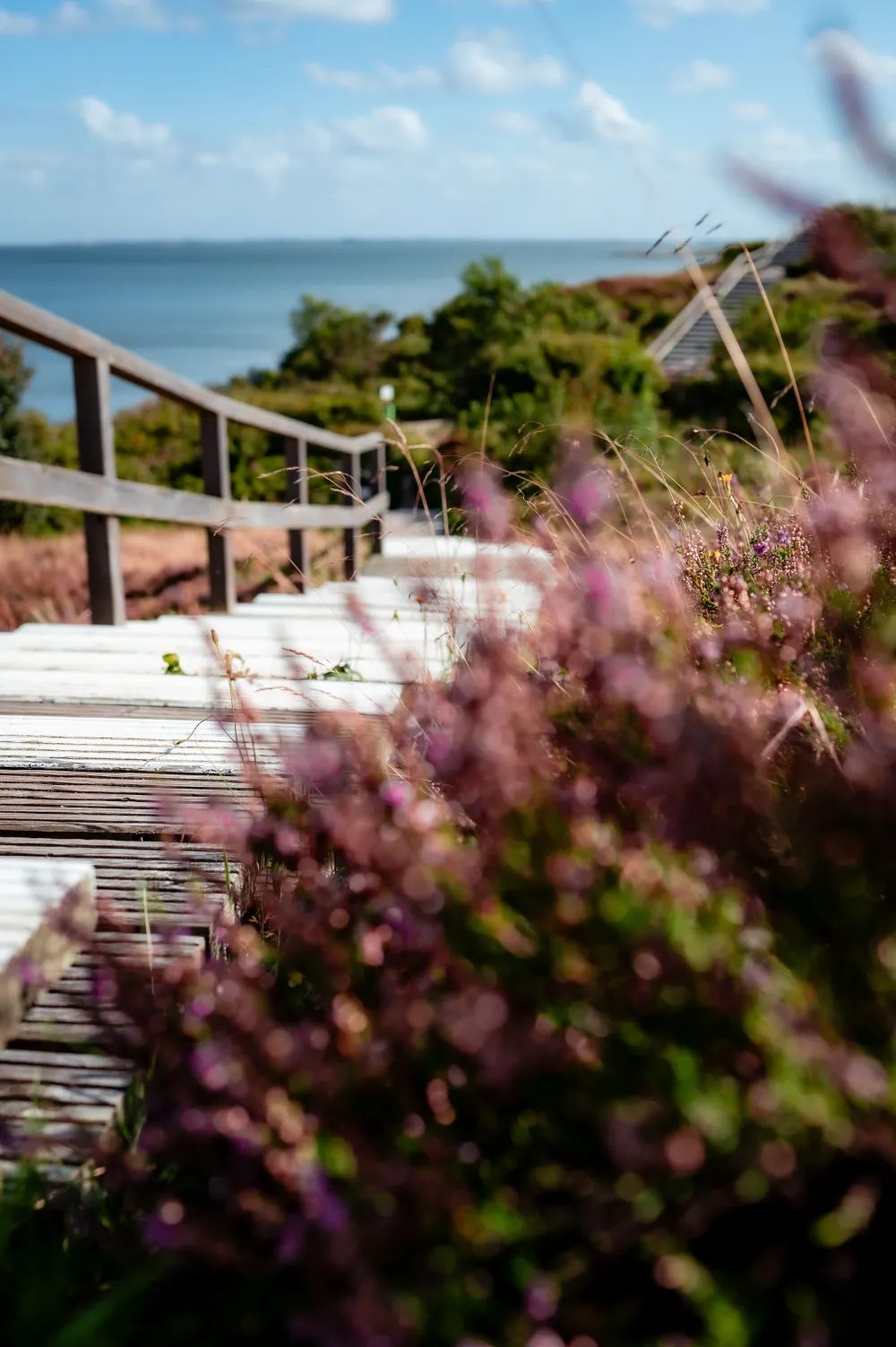 Braderuper Heide Holztreppen Braderuper Heide Holztreppen