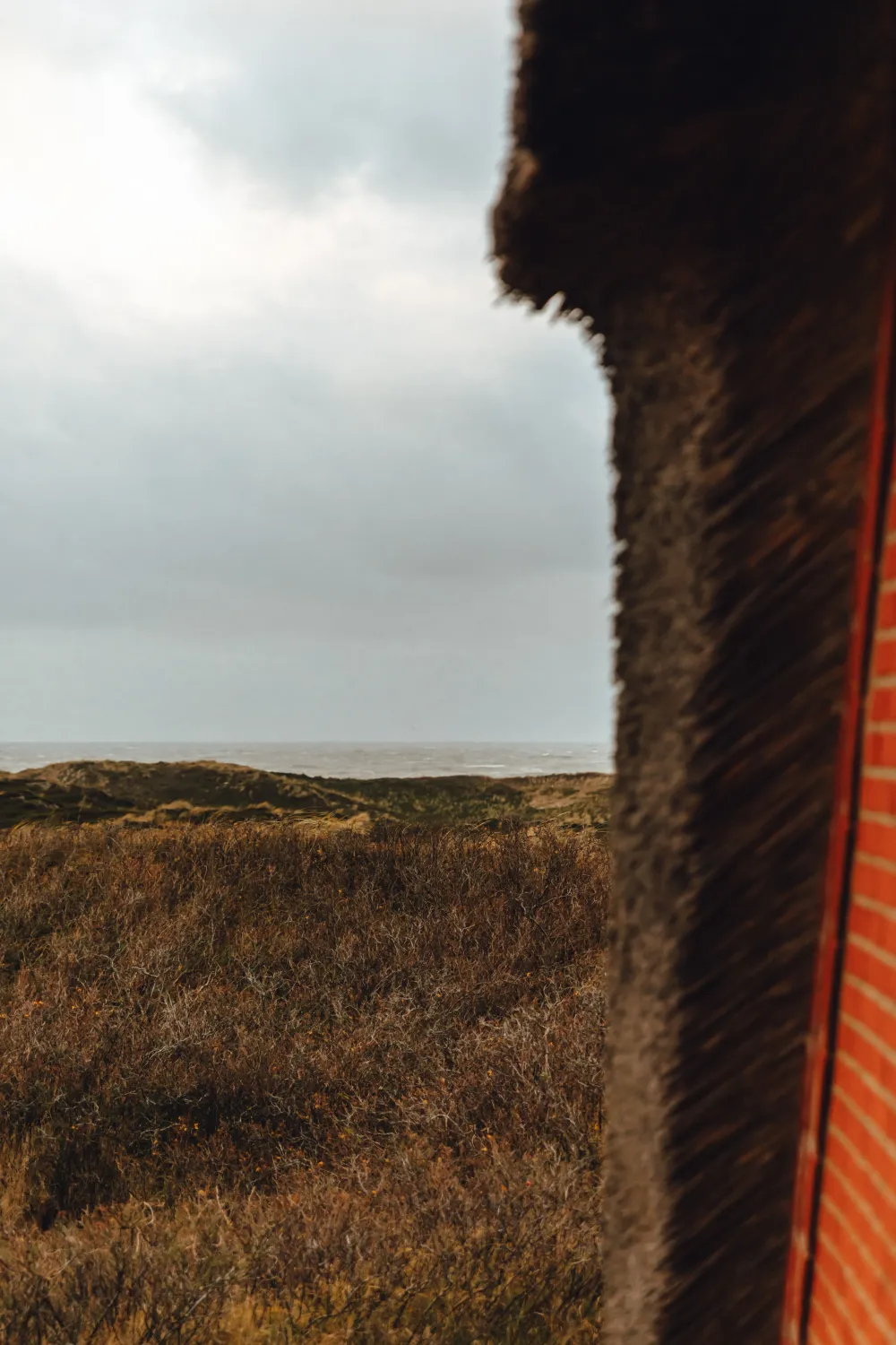 Apartment Rundblick Nr 8 Rantum