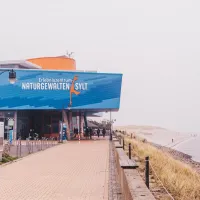 Erlebniszentrum Naturgewalten in List auf Sylt