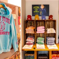 Sylt State University Campus