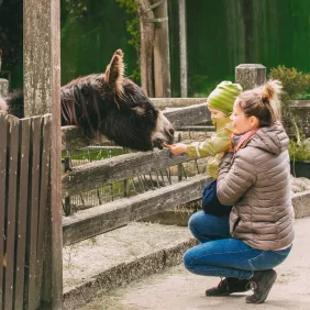 Tierpark Tinnum: Ein tierisch toller Familientag 