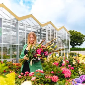 Gartencenter Harms: Auf Schatzsuche im Blumenmeer