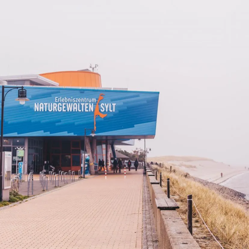 Erlebniszentrum Naturgewalten in List auf Sylt