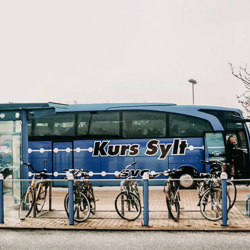 BUS SCG Sylt Inselrundfahrt