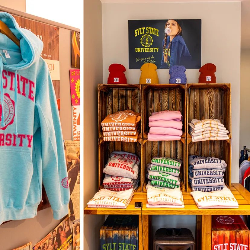 Sylt State University Campus