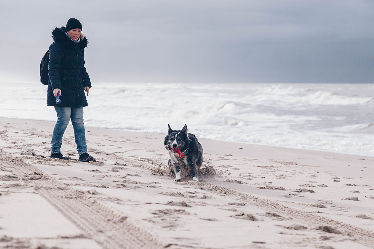 So schön ist Sylt im Winter