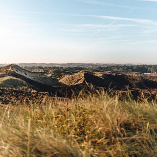 Uwe-Düne Kampen Aussicht