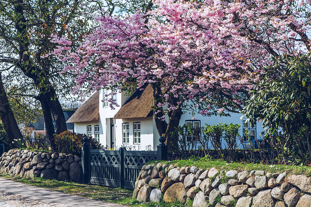 Keitum: Romantische Dorf-Idylle 