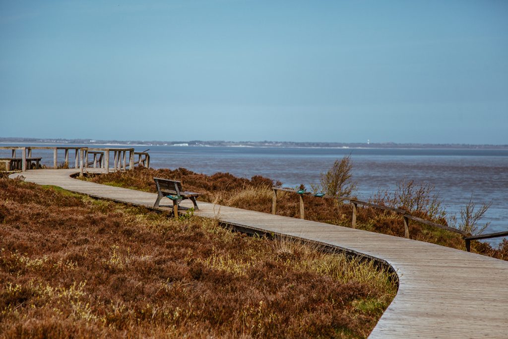 Lieblingsplätze Ein Spaziergang am Morsum Kliff Sylt Fräulein