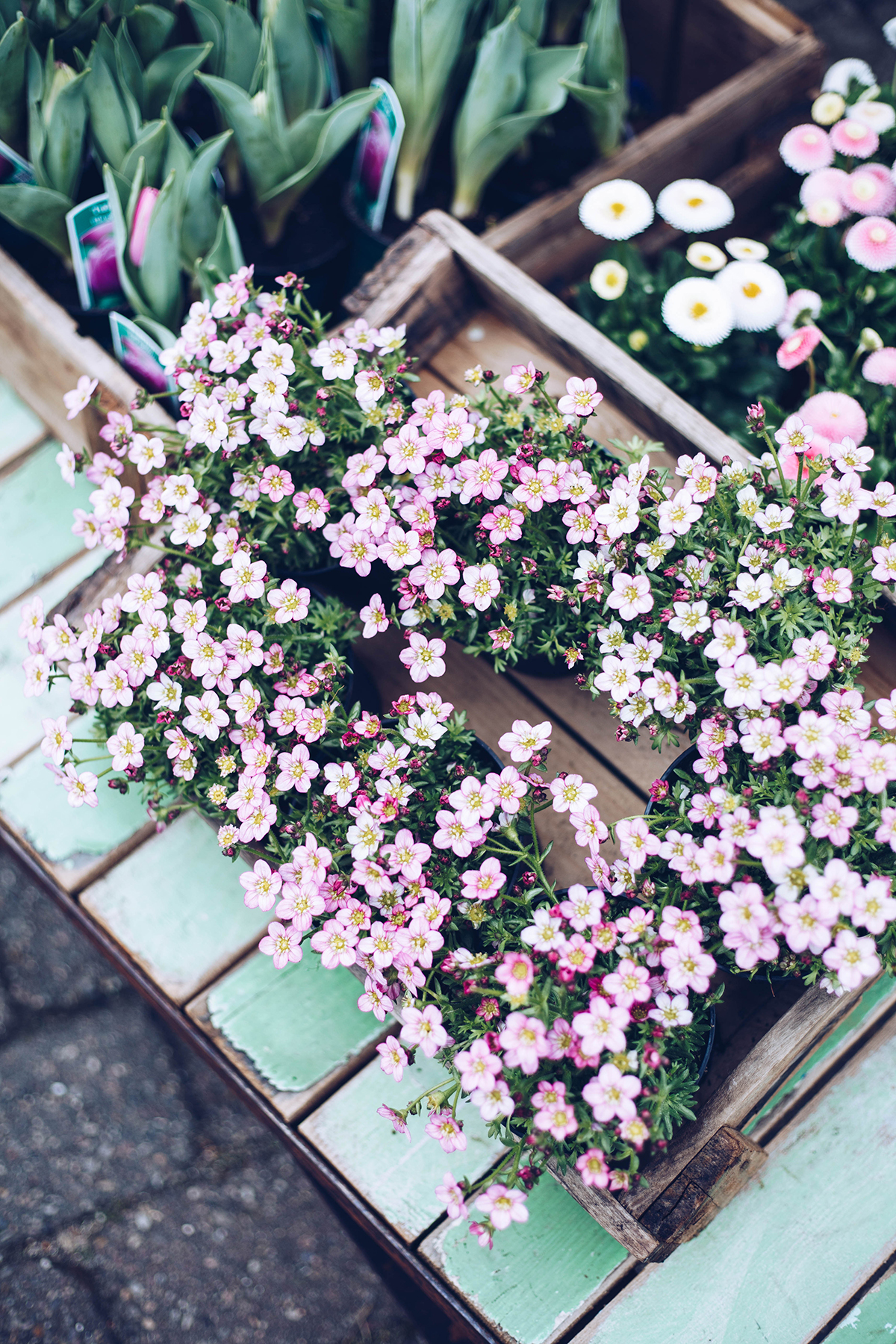 Blumen Hansen Westerland Sylt