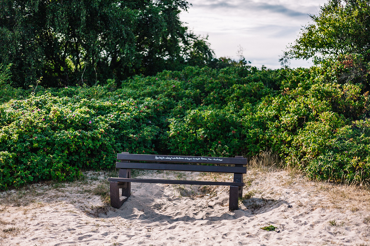 Violette Heidelandschaften, idyllische Ruhe, stilles Watt – die Braderuper Heide gehört zu meinen Sylter Lieblingsorten. Darum lohnt sich ein Spaziergang: