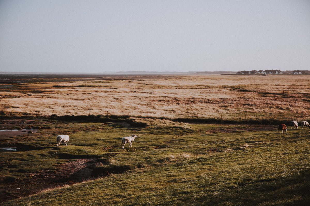 So schön ist Sylt im Herbst in Rantum