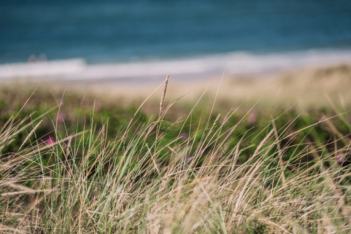 So schön ist Sylt im Herbst in Rantum