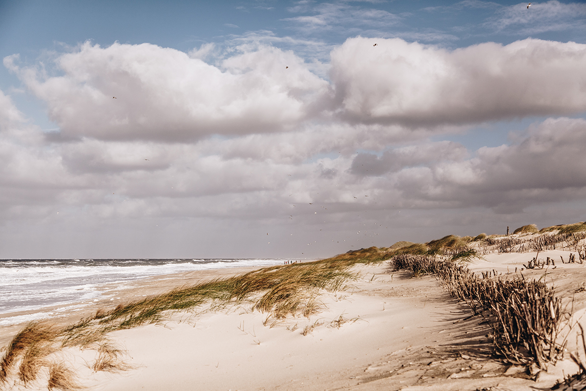 List Weststrand Sylt