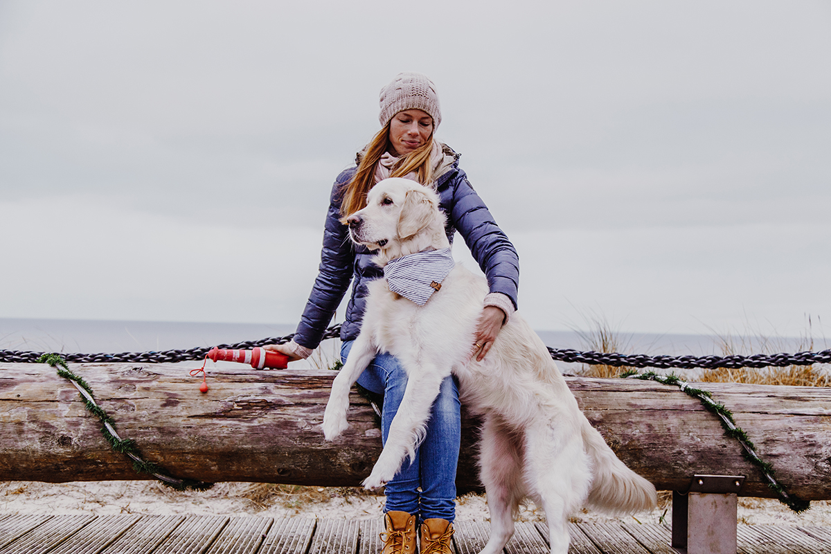 Sylt mit Hund: Die besten Tipps von Sylter Schnauze Sam