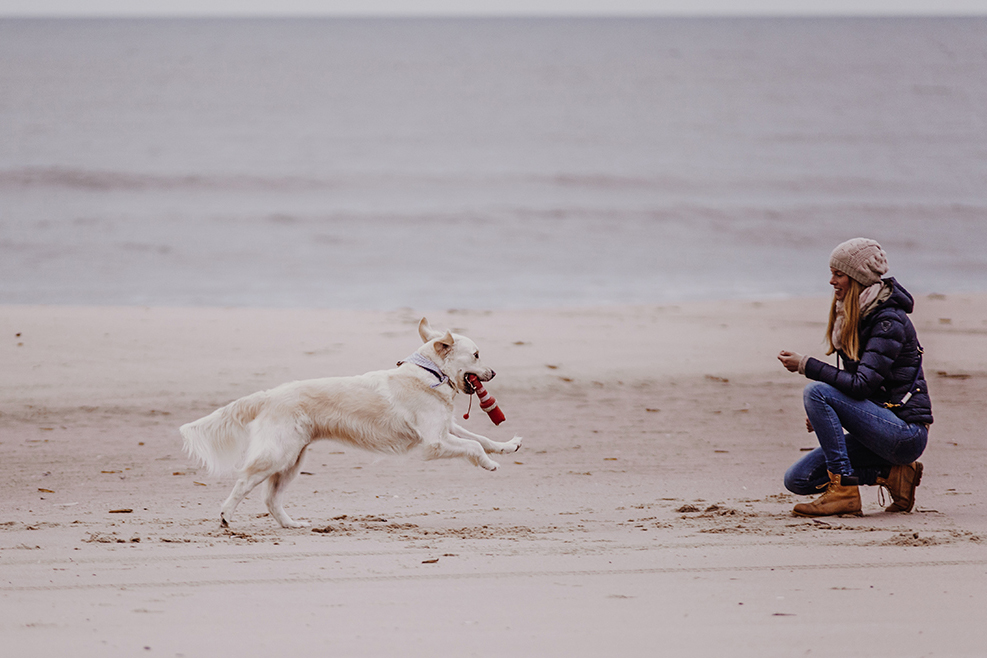 gaben Selvrespekt Låne Sylt mit Hund: Die besten Tipps von Sylter Schnauze Sam - Sylt Fräulein