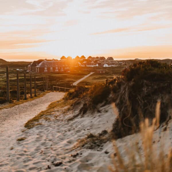 Aussichtspunkt Möwennest Hörnum Wanderweg Sylt