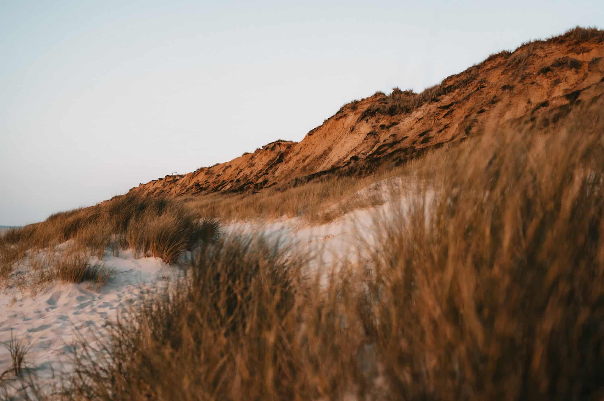 Sehenswürdigkeiten auf Sylt: Das rote Kliff in Kampen