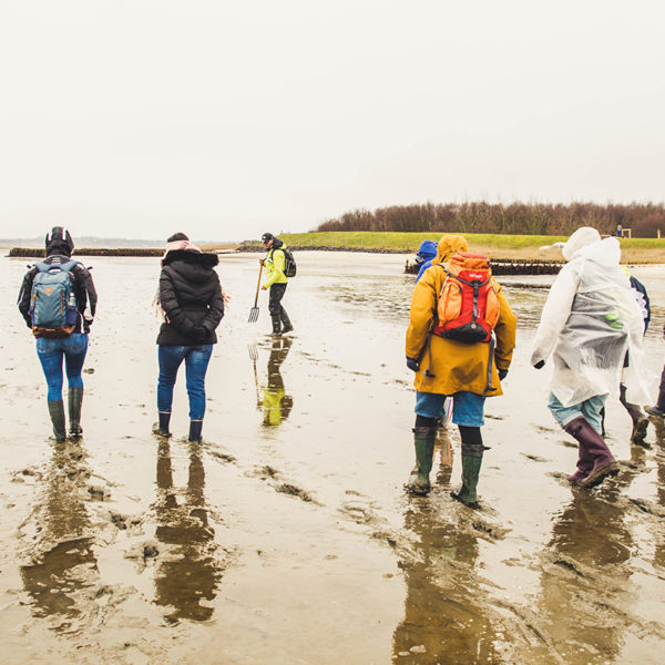 Sylt im Winter Wattwanderung