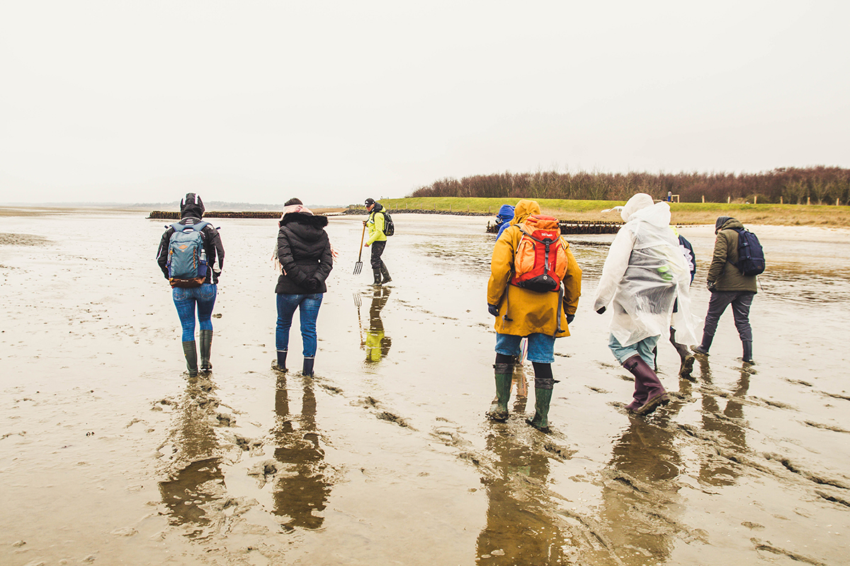 Sylt im Winter Wattwanderung