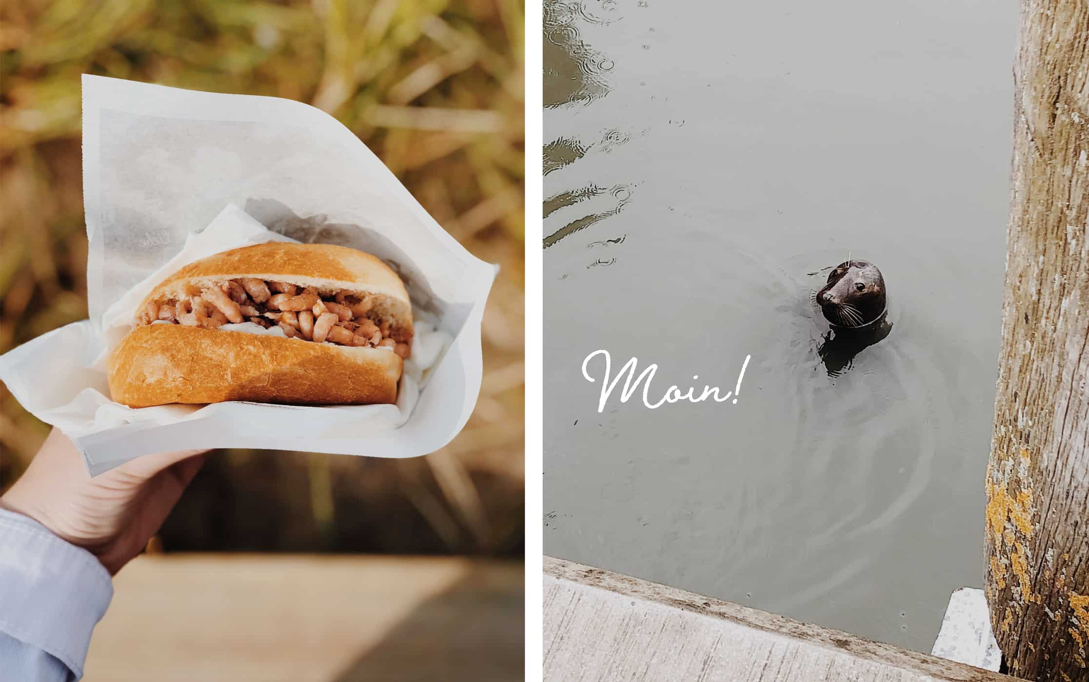 Die besten Fischbrötchen auf Sylt: Fisch Matthiesen