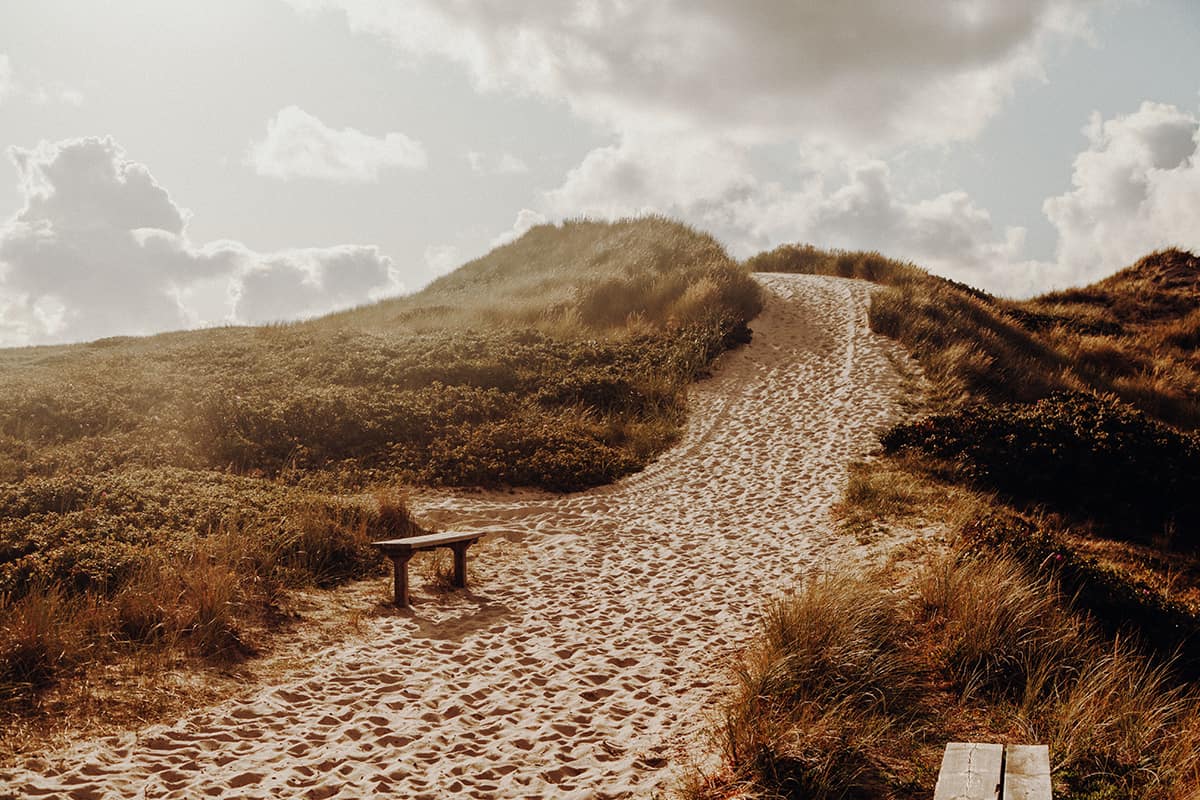 Weg zum Strand Dünen Kampen Sylt