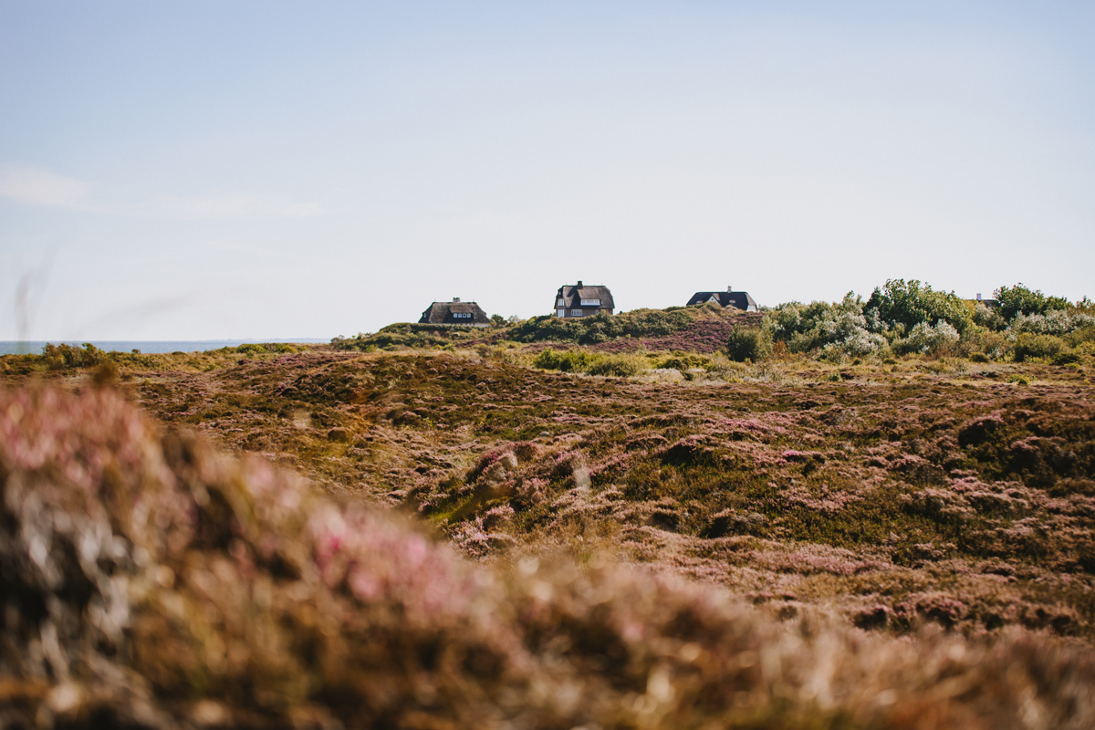 Reetdachhäuser in List auf Sylt