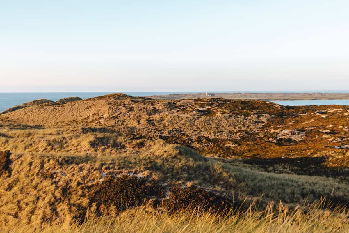 Aussichtspunkte Sylt: Blick bis zum Ellenbogen auf der Aussichtsdüne in List