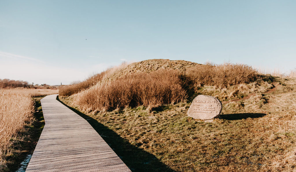 13 gute Gründe für einen Tagesausflug nach Tinnum Sylt Fräulein