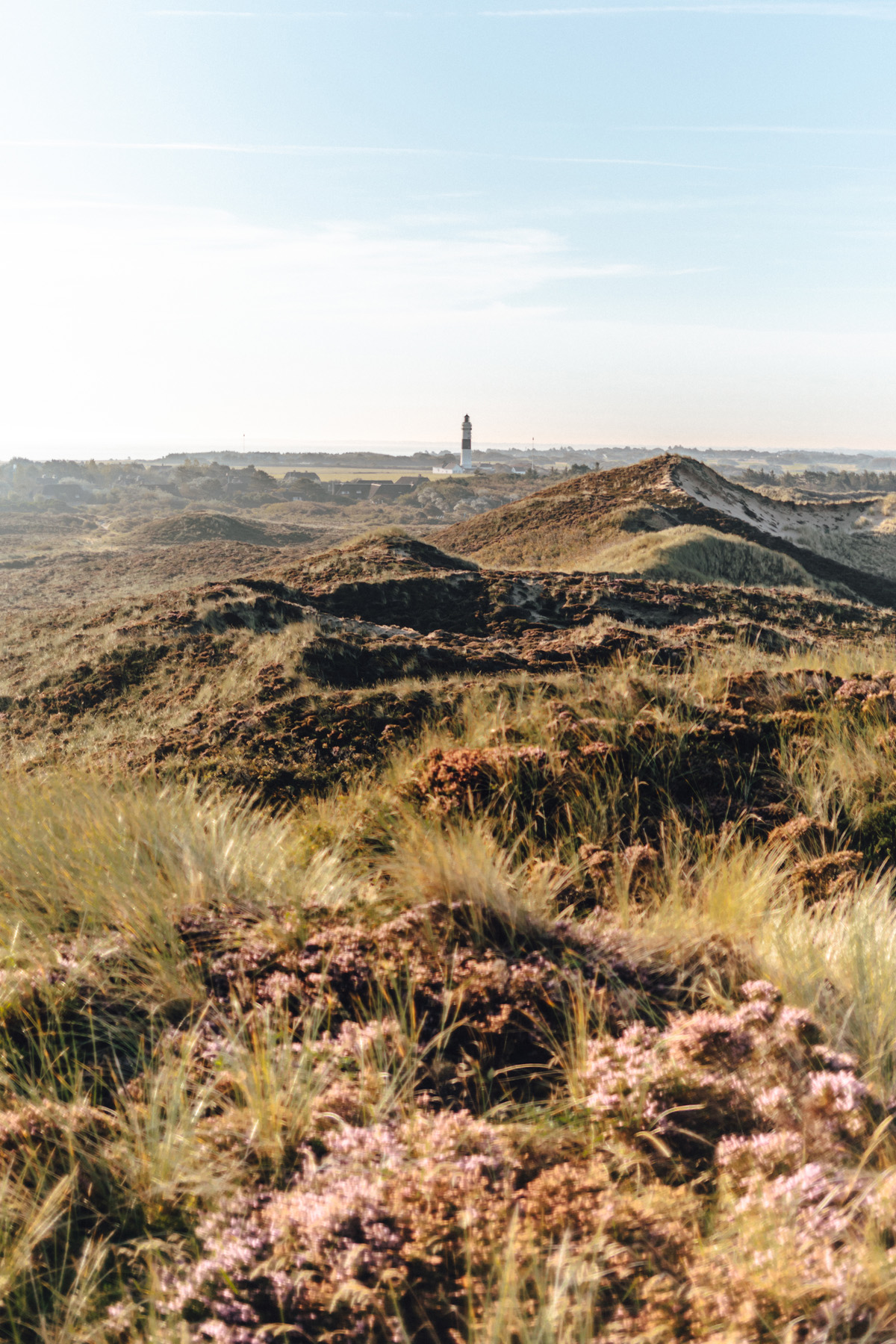 Aussichtspunkte Sylt: Blick auf den Kampener Leuchtturm von der Uwe Düne