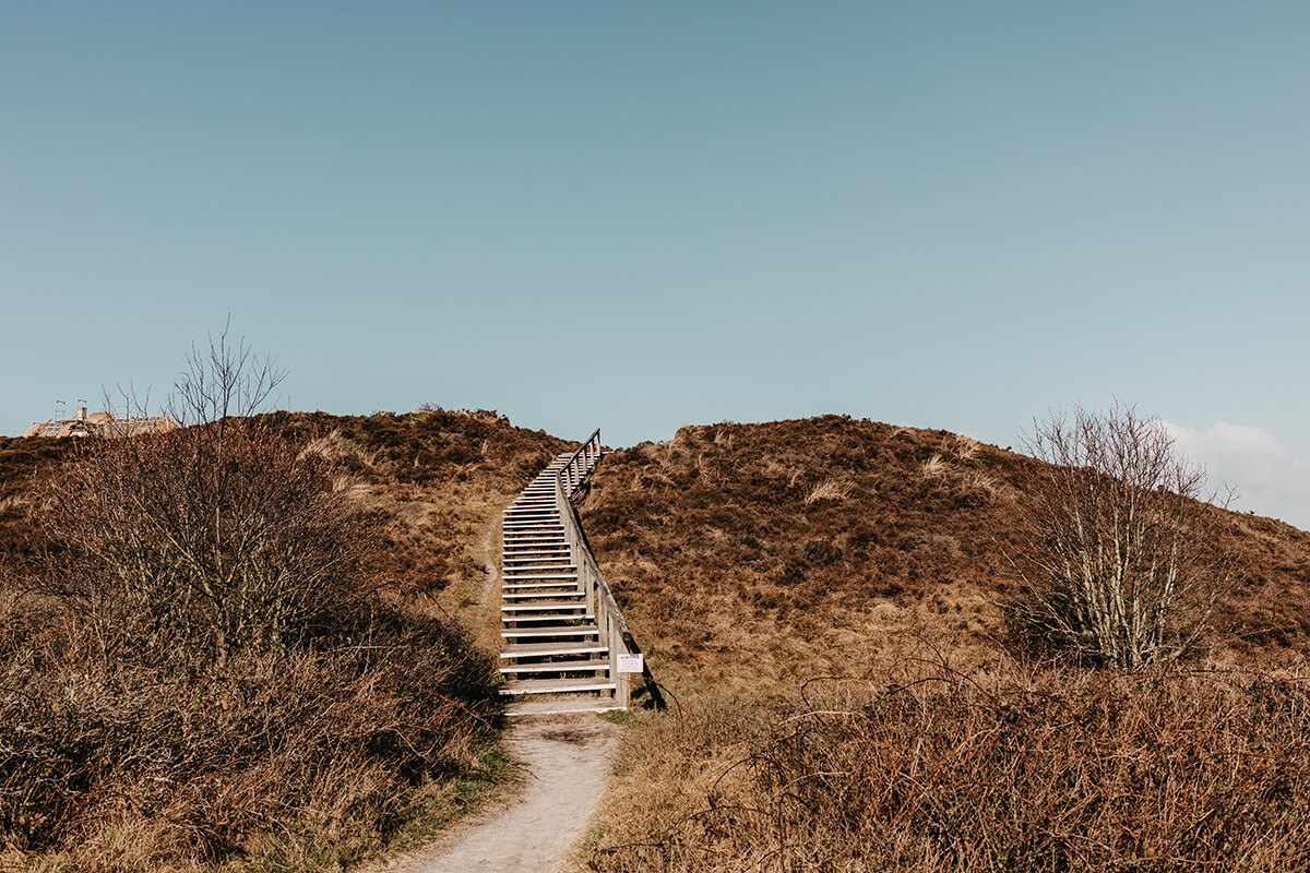 Braderuper Heide Sylt