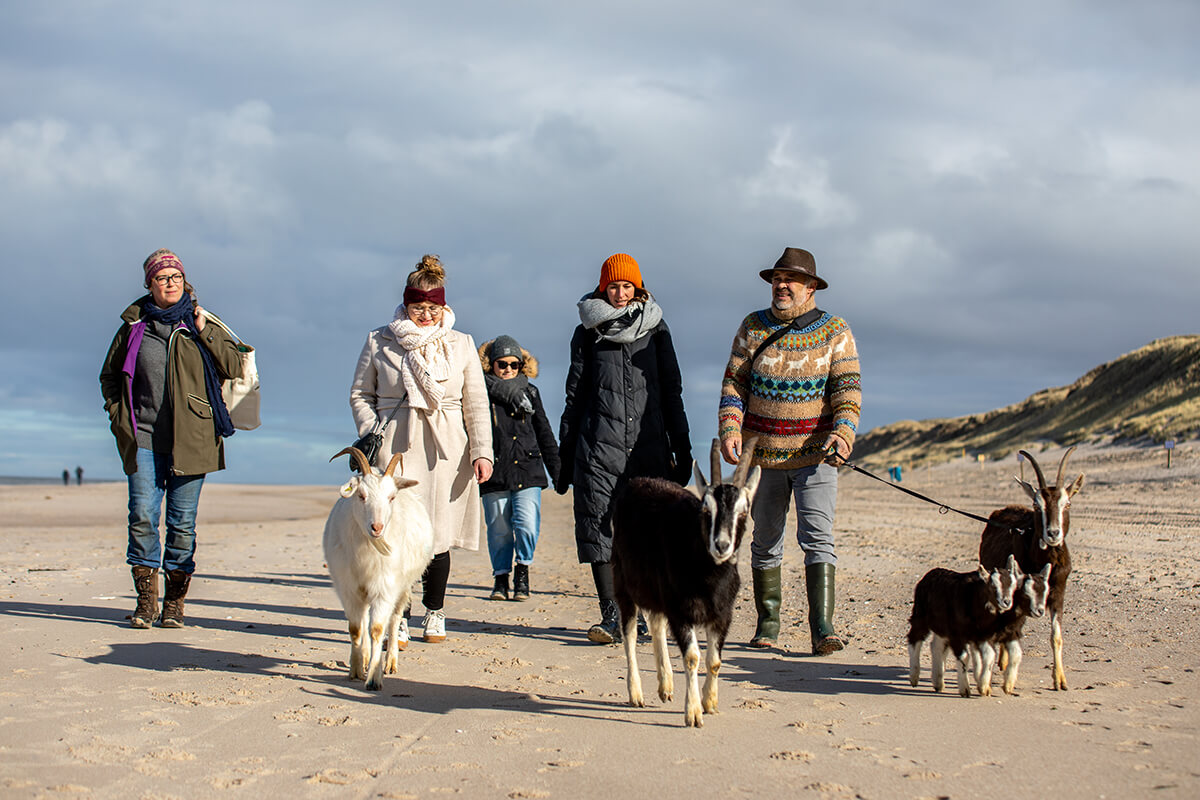 Ziegenwanderung Sylt 