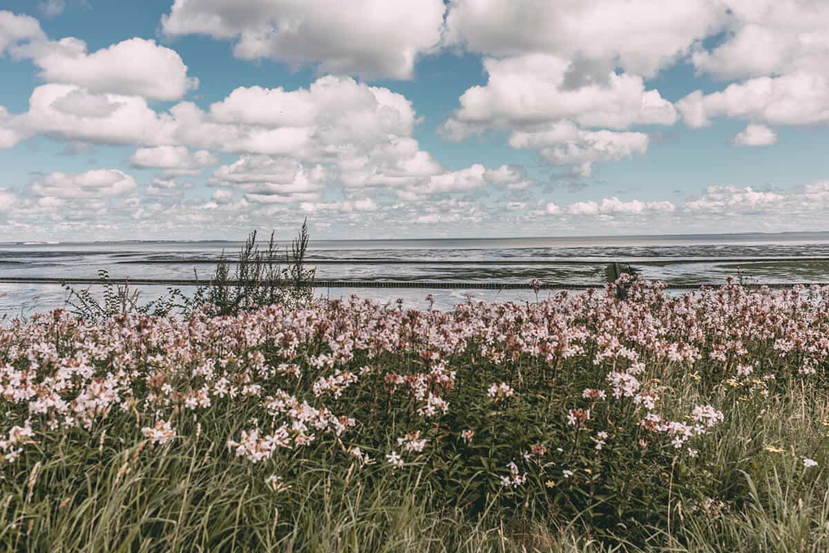 Wattenmeer Keitum Sylt